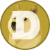 DOGE Holding Amount